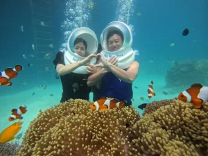 Sea Walk Activity In Andaman
